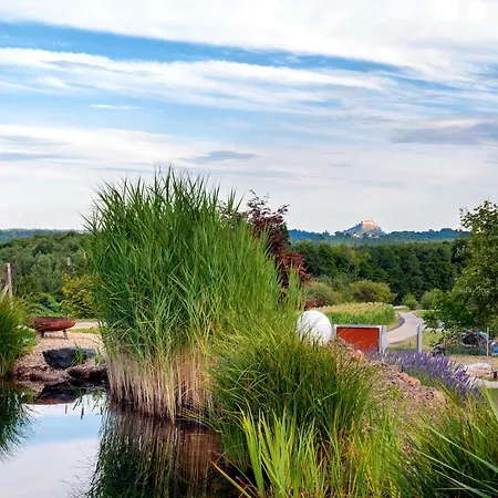 Mit Privaten Schwimmteich Und Sauna * Oed bei Gleisdorf