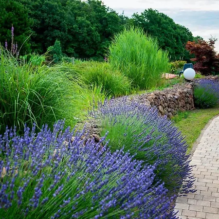 Mit Privaten Schwimmteich Und Sauna Holiday home