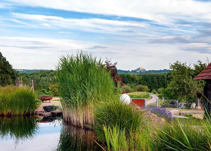 Mit Privaten Schwimmteich Und Sauna * Oed bei Gleisdorf